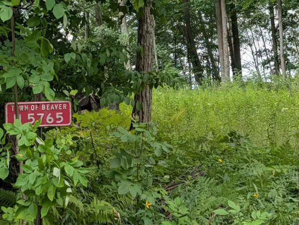 N5765 PARKWAY ROAD, Pound, WI 54161