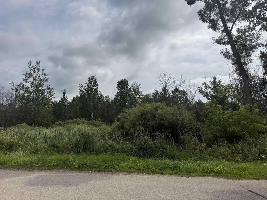 DEPOT STREET, Bonduel, WI 54107 - #2