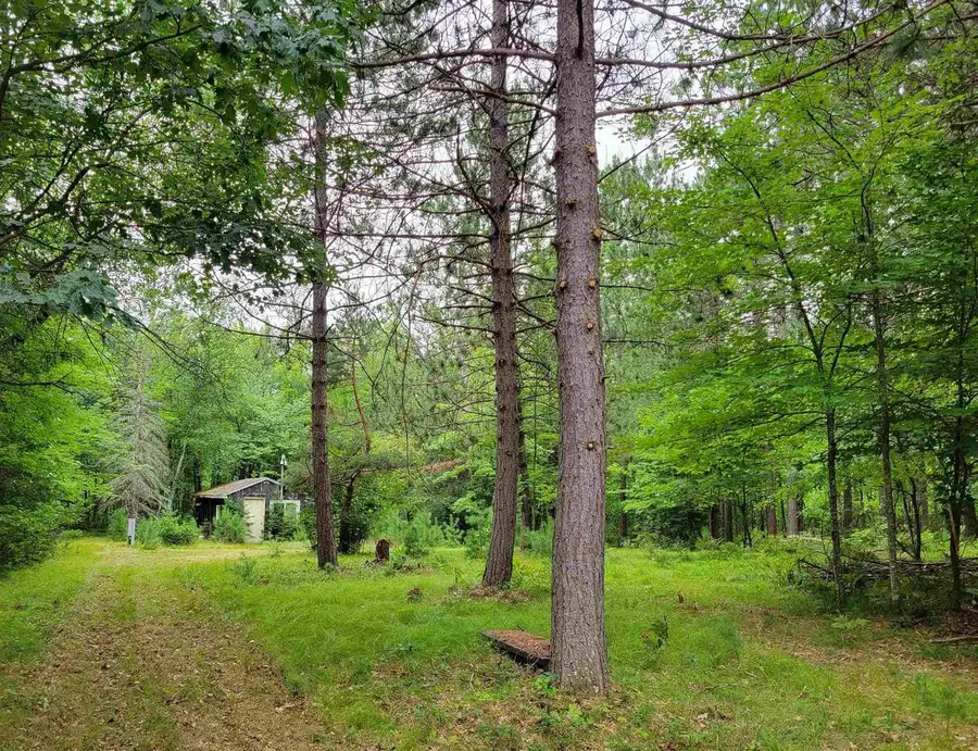 W13143 PARKWAY ROAD, Athelstane, WI 54104 - #3