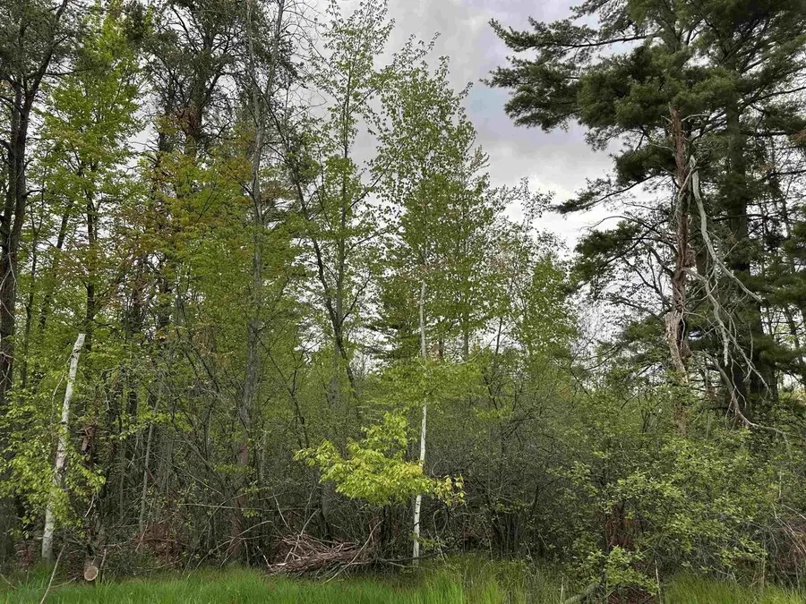 MCGRAW STREET, Peshtigo, WI 54157 - #2