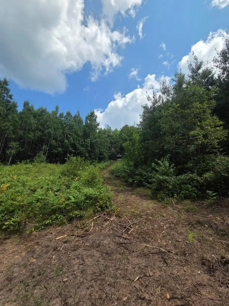 SPANGENBERG ROAD, Pembine, WI 54156 - #2