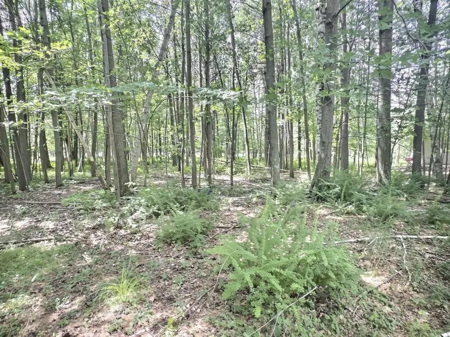 BUSS COURT, Shawano, WI 54166 - #2