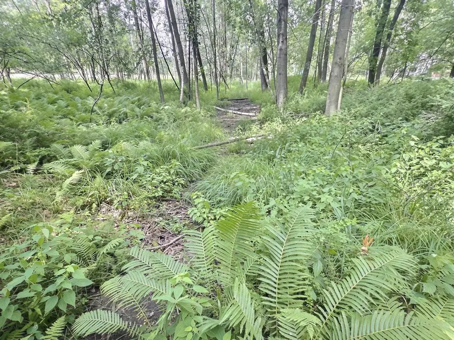 BUSS COURT, Shawano, WI 54166 - #3