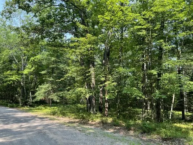 STEFFEN LANE, Pembine, WI 54156 - #2