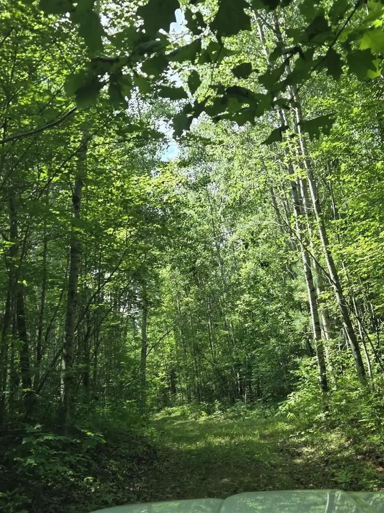 RIGHT OF WAY ROAD, Pembine, WI 54156 - #1