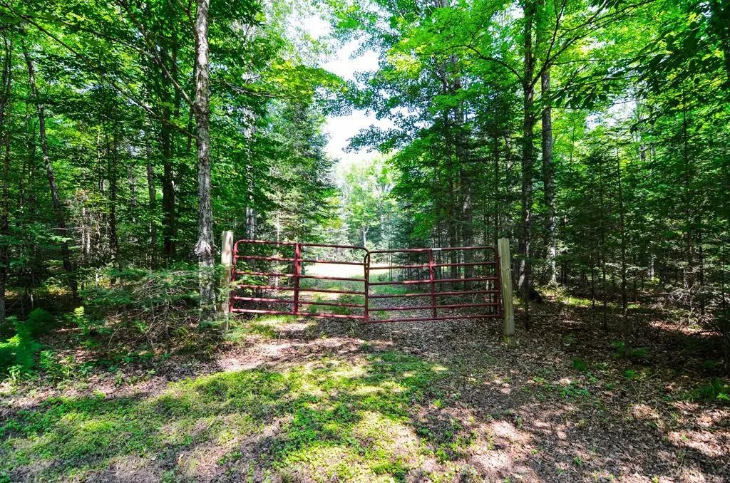 W15310 OLD J ROAD, Athelstane, WI 54104 - #1