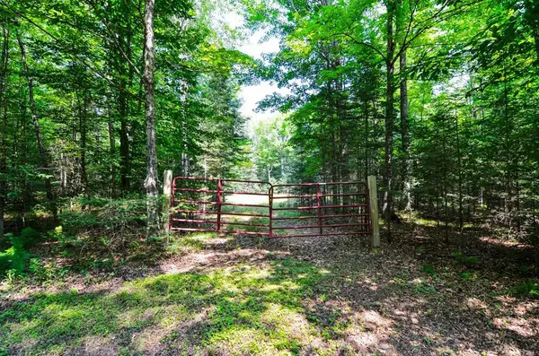 W15310 OLD J ROAD, Athelstane, WI 54104
