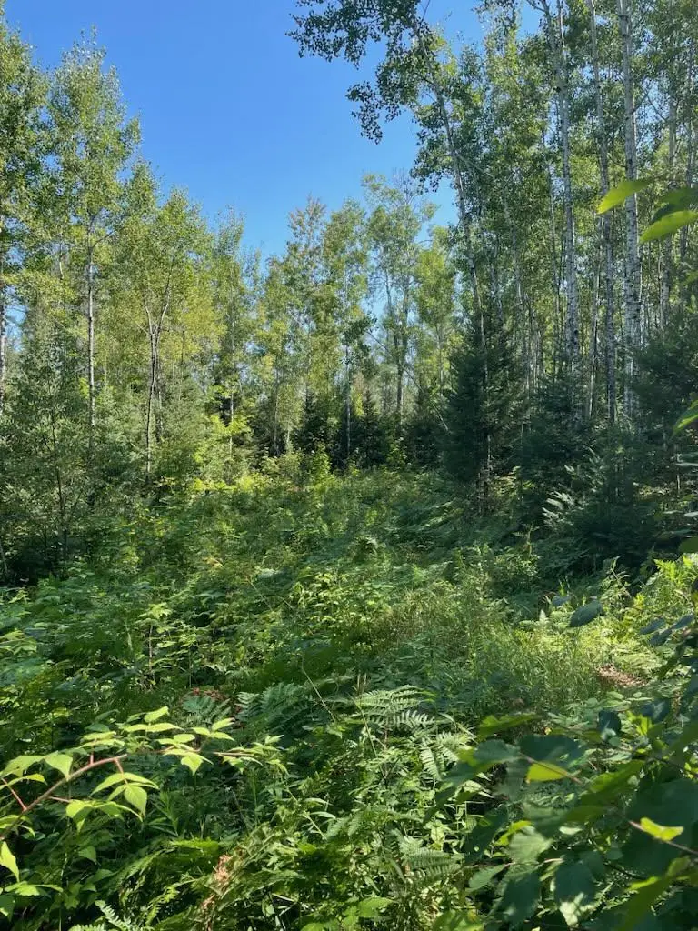 W HERZOG ROAD, Iron Mountain, MI 49801 - #1