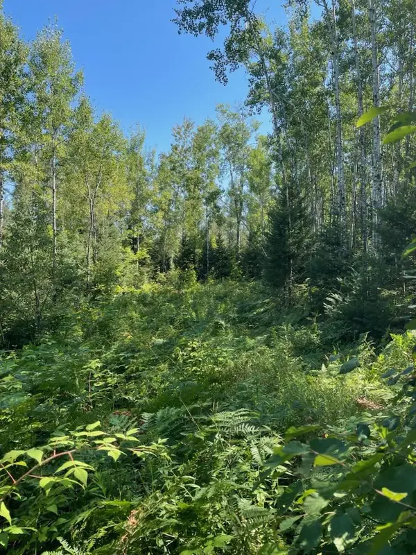 W HERZOG ROAD, Iron Mountain, MI 49801