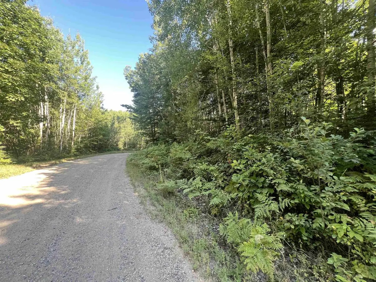 SPANGENBERG ROAD, Pembine, WI 54156 - #1
