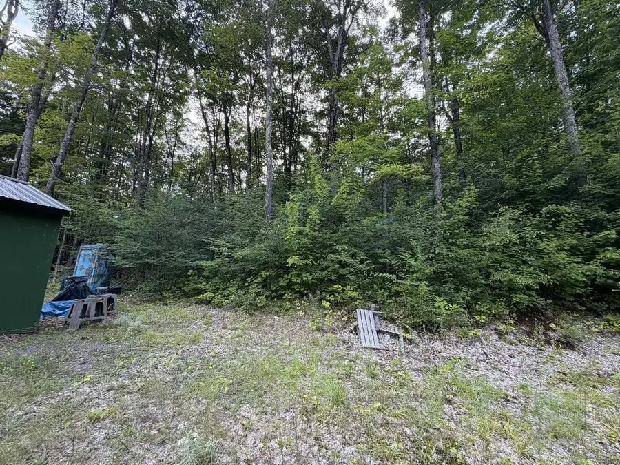 N4260 W TAMARACK LAKE ROAD, Watersmeet, MI 49969 - #2
