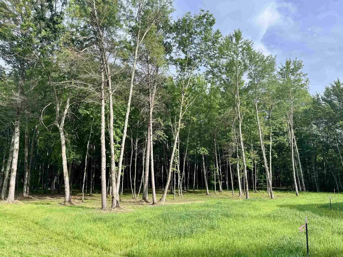 CARRIE LANE, Pound, WI 54161 - #1