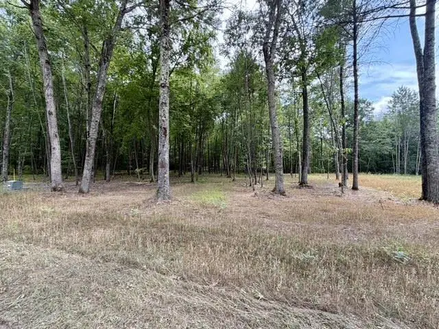 CARRIE LANE, Pound, WI 54161 - #2