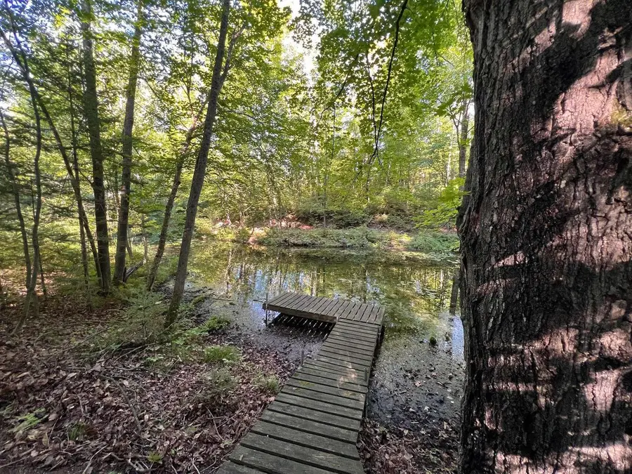W1391 ROSE LAKE ROAD, White Lake, WI 54491 - #2