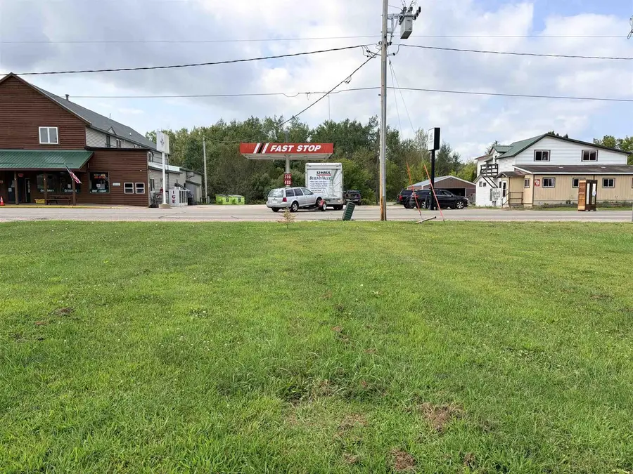 BISSELL STREET, White Lake, WI 54491 - #3