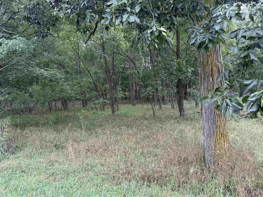 COUNTY E ROAD, Pine River, WI 54965 - #3