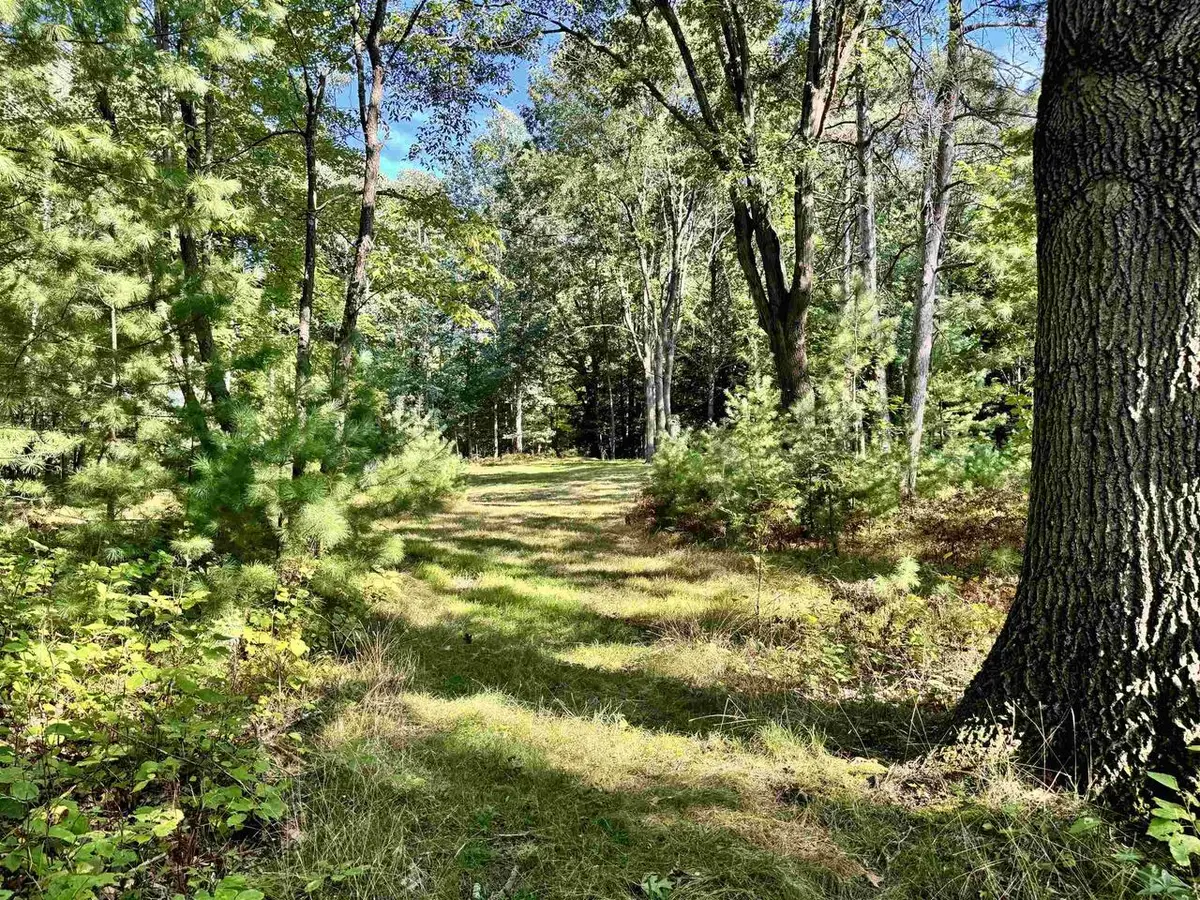 MAPLEWOOD LANE, Sobieski, WI 54171 - #1