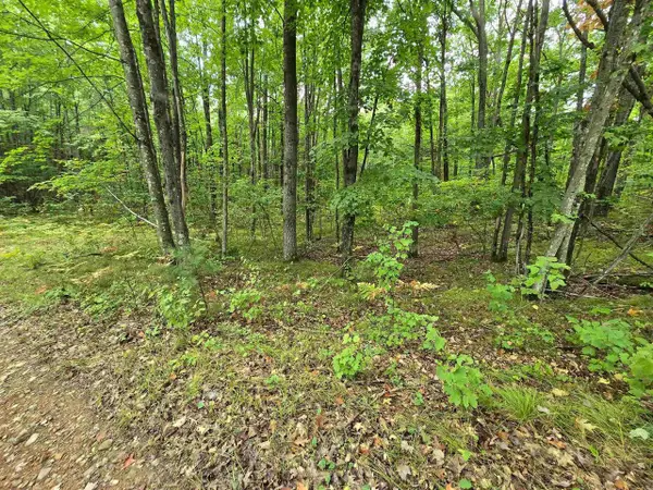 5 acres ROUSH ROAD, Wausaukee, WI 54177