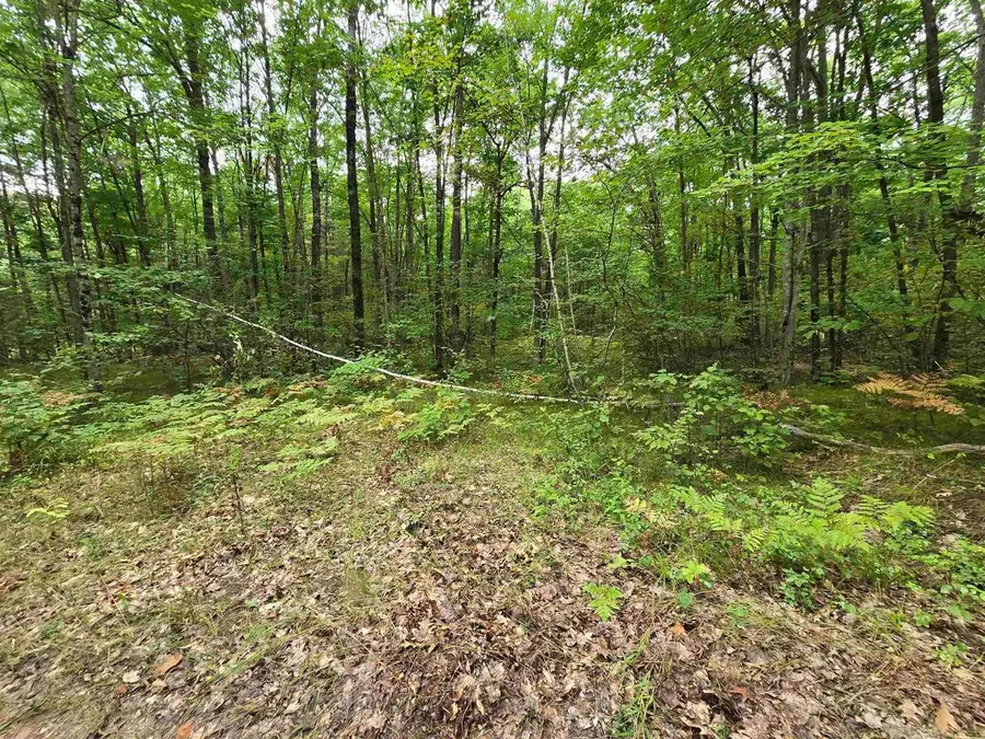 5 acres ROUSH ROAD, Wausaukee, WI 54177 - #3