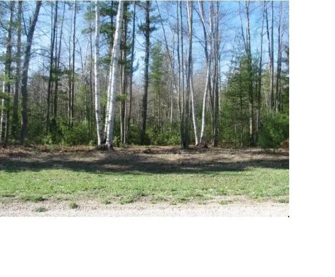 PINE RIDGE TRAIL, Abrams, WI 54101 - #2