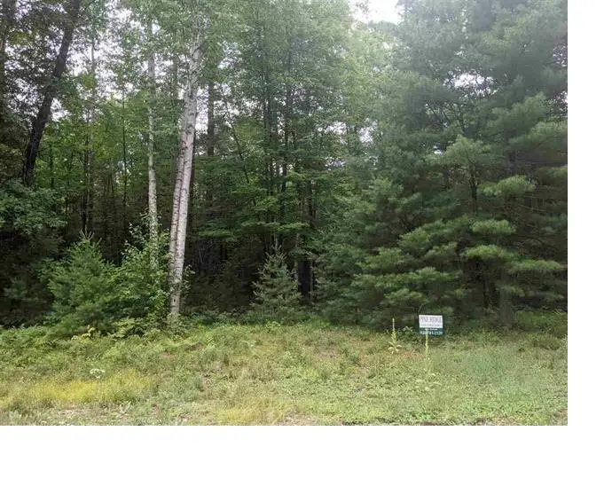 PINE RIDGE TRAIL, Abrams, WI 54101 - #3