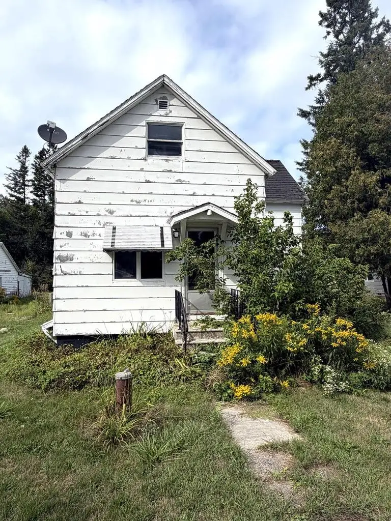 191 W COUNTY RD 358, Daggett, MI 49821 - #1