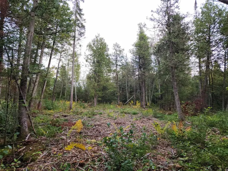 HWY 45, Aniwa, WI 54414 - #2