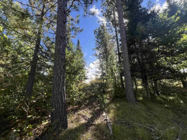 GEHLING ROAD, Dunbar, WI 54119