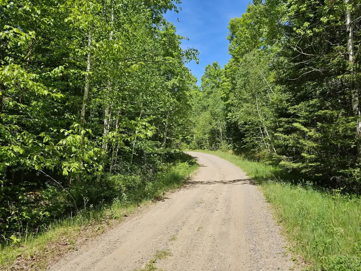 W HERZOG ROAD, Iron Mountain, MI 49801 - #1
