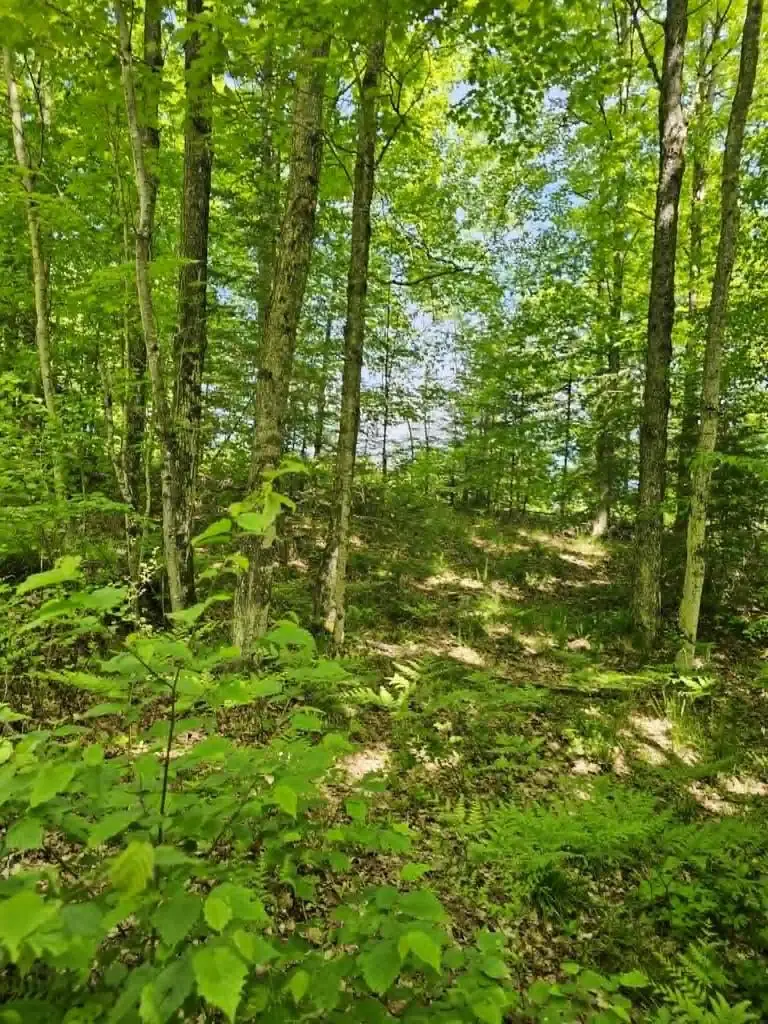 W HERZOG ROAD, Iron Mountain, MI 49801 - #2