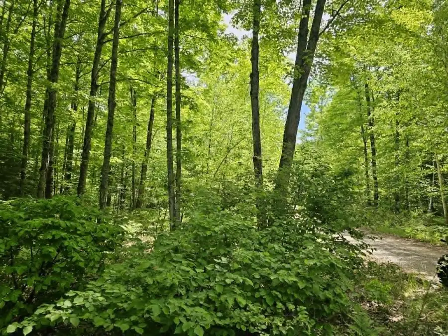 W HERZOG ROAD, Iron Mountain, MI 49801 - #3
