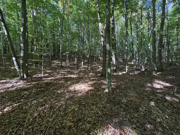 BEAR CAVE ROAD, Silver Cliff, WI 54104