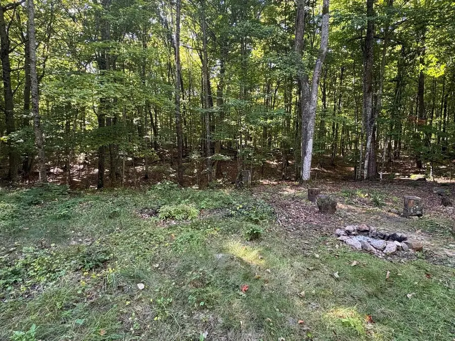 BEAR CAVE ROAD, Silver Cliff, WI 54104 - #3