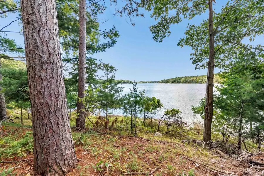 W4566 S SHORE DRIVE, Wild Rose, WI 54984 - #2