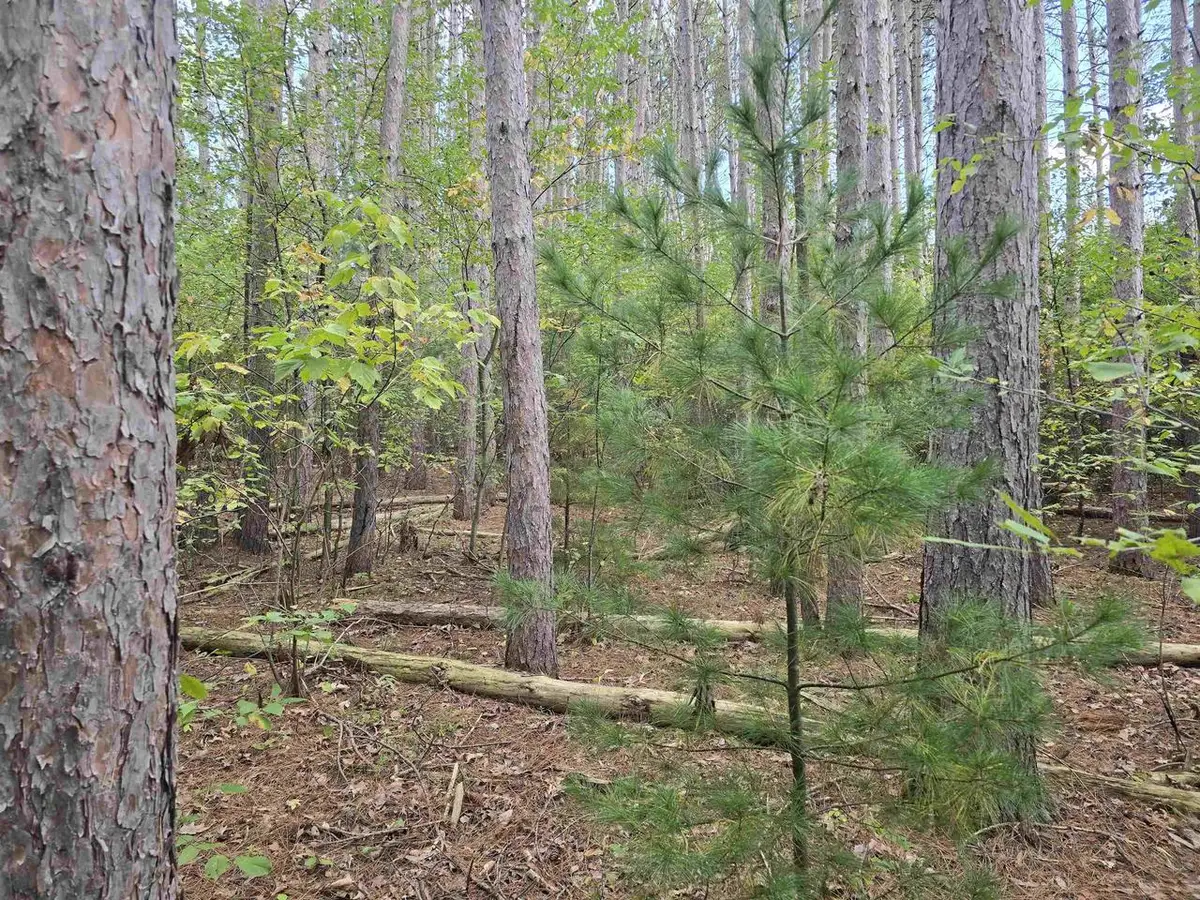 LAKE DRIVE, Wautoma, WI 54982 - #1
