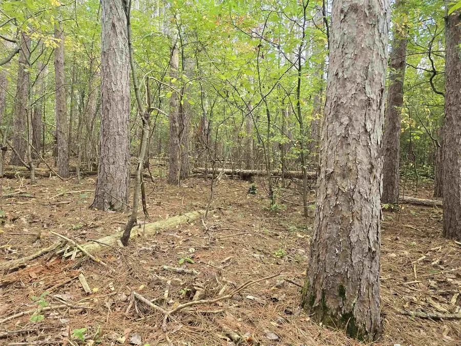 LAKE DRIVE, Wautoma, WI 54982 - #2