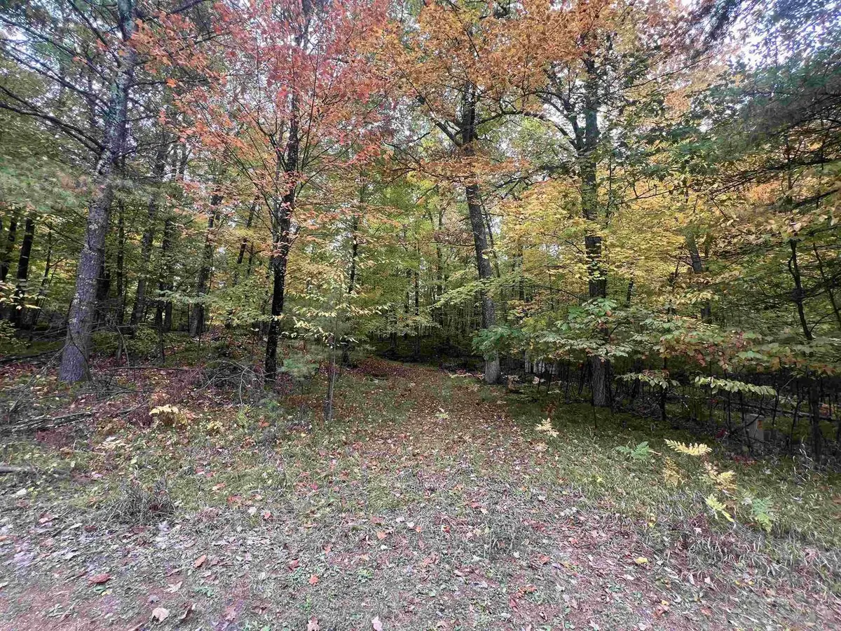 N17031 ROTH LANE, Pembine, WI 54156 - #1
