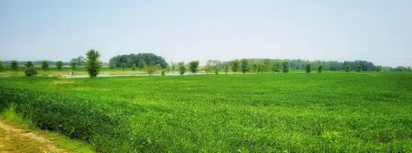 1457 ROCKLAND HEIGHTS ROAD, De Pere, WI 54115
