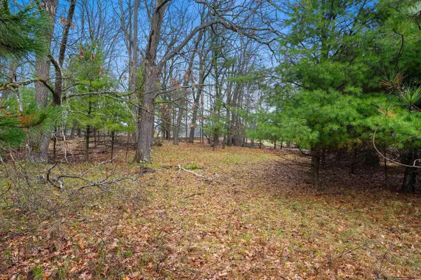 RUSS MAINIK ROAD, Wausaukee, WI 54177
