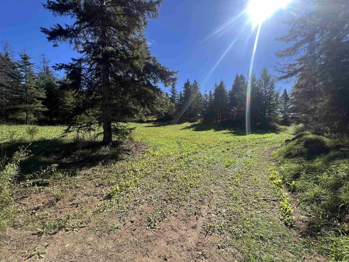 BADISH ROAD, Daggett, MI 49821 - #1