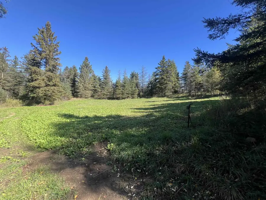 BADISH ROAD, Daggett, MI 49821 - #3
