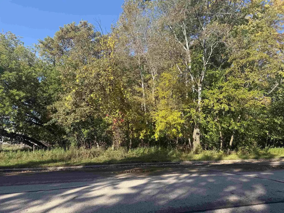 BROWN STREET, Peshtigo, WI 54157 - #1
