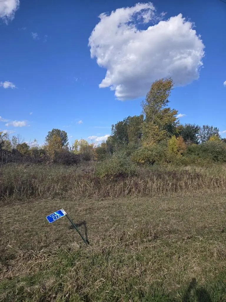 272 E LONE ELM AVENUE, Van Dyne, WI 54979 - #1