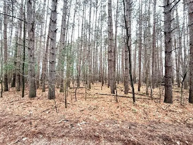 LAKE TERRACE DRIVE, Ogdensburg, WI 54962 - #1