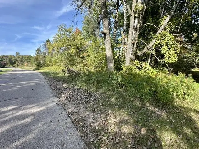 S WHITE POTATO LAKE ROAD, Pound, WI 54161 - #2