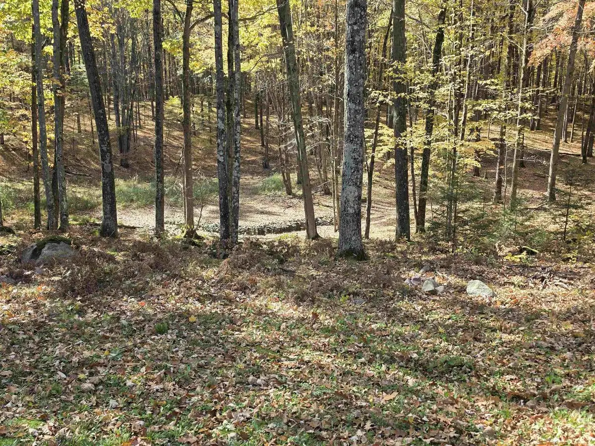 E HIGHTOWER DRIVE, Elderon, WI 54427 - #1