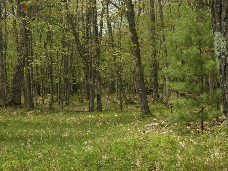 672XX E Deep Lake Rd, Iron River, WI 54847 - Image #2
