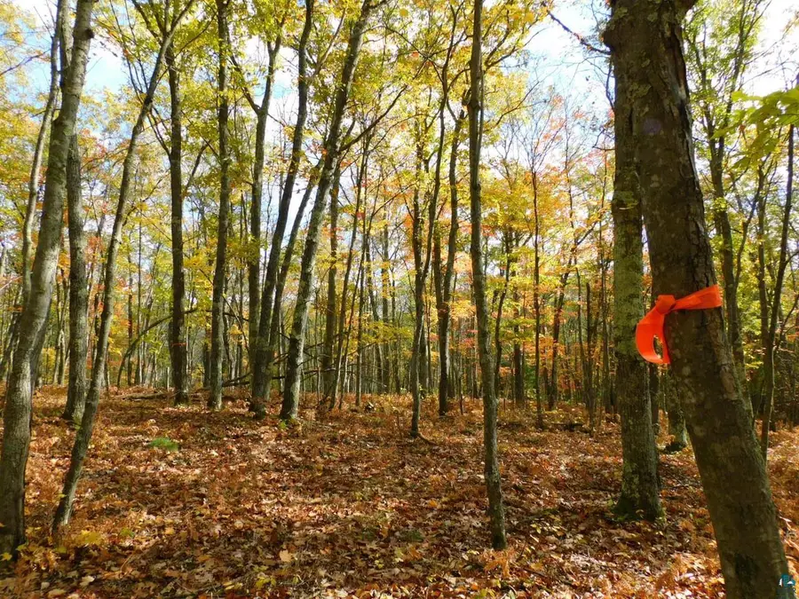 xxxx Sajdak Rd, Iron River, WI 54847 - #3