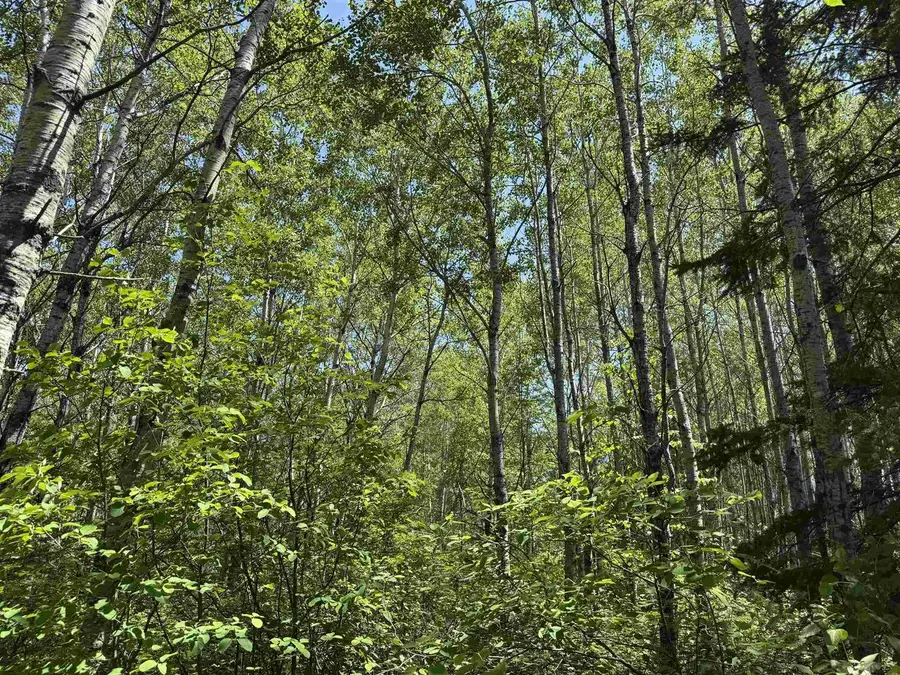 TBD Irondale Rd, Superior, WI 54880 - Image #3