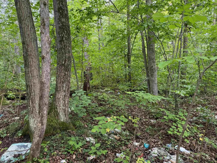 4.7 acres on Gurno Lake Road, Hayward, WI 54843 - Image #3